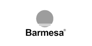 Barmesa Pumps